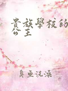 贵族学校的双面公主