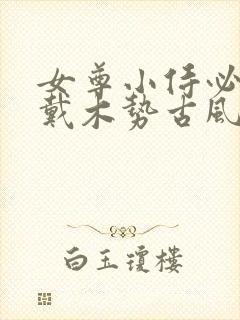 女尊小侍必须佩戴木势古风