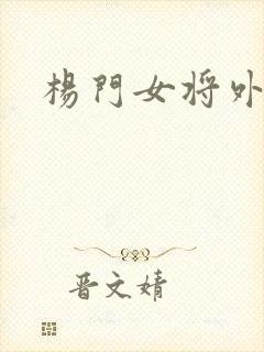 杨门女将外传