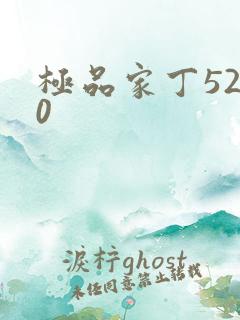 极品家丁5200