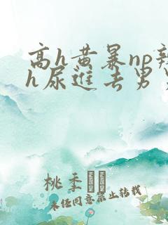 高h黄暴np辣h尿进去男男