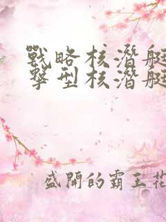 战略核潜艇与攻击型核潜艇区别