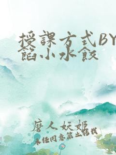 授课方式BY肉馅小水饺