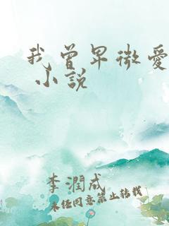我曾卑微爱过你 小说
