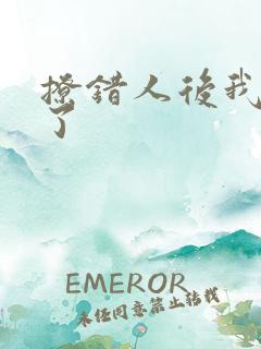 撩错人后我跑路了