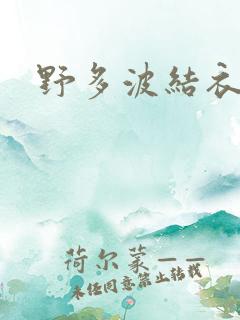野多波结衣