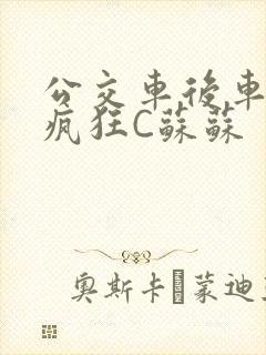 公交车后车座的疯狂C苏苏