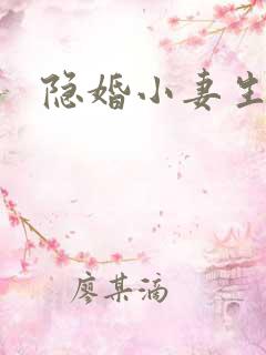 隐婚小妻生个娃