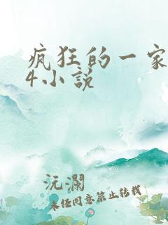 疯狂的一家PS4小说