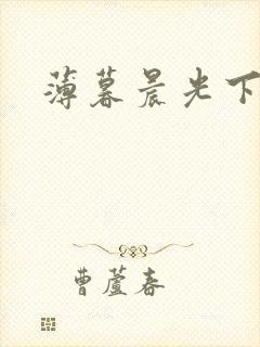 薄暮晨光下载