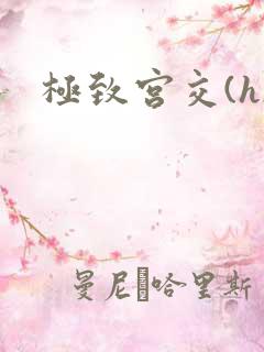 极致宫交(h)