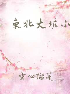 东北大坑小说