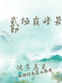 武极巅峰最新章节