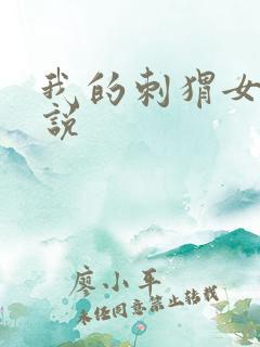 我的刺猬女孩小说