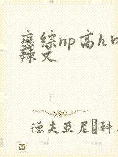 恋综np高h肉辣文