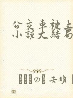 公交车被上高潮小说大结局