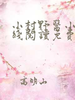 小村野医小说在线阅读免费