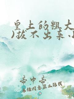 皇上的粗大(h)拔不出来小说