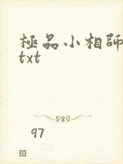 极品小相师小说txt