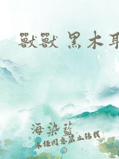 兽兽 黑木耳