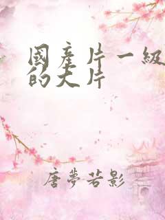 国产片一级特黄的大片