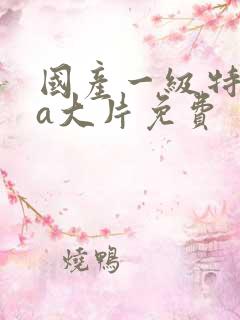 国产一级特黄aa大片免费