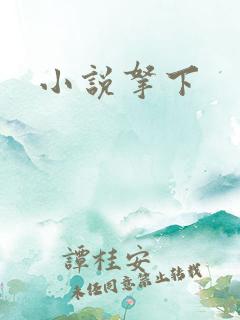 小说拿下