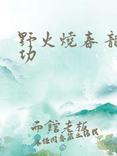 野火烧春 龙鸣功