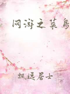网游之菜鸟高手