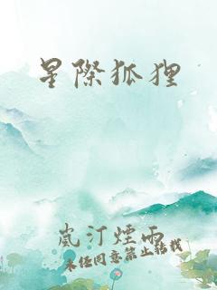 星际狐狸
