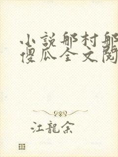 小说那村那人那傻瓜全文阅读