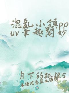 混乱小镇popuv笔趣阁妙妙