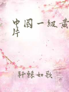 中国一级黄色淫片