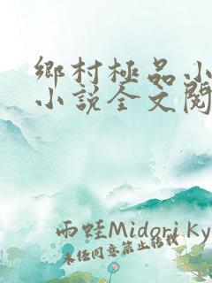 乡村极品小神医小说全文阅读