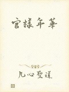 官样年华