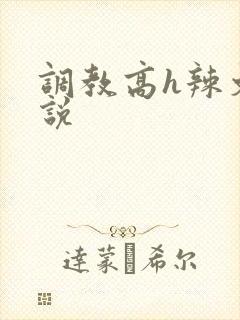 调教高h辣文小说