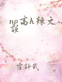 np高h辣文小说