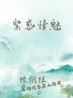 紫惑情魅
