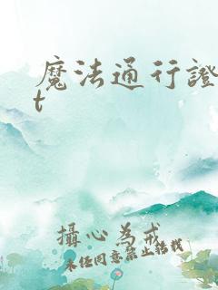 魔法通行证txt
