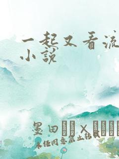 一起又看流星雨小说