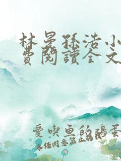 林曼孙浩小说免费阅读全文最新章节