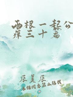 两根一起公憩止痒三十篇
