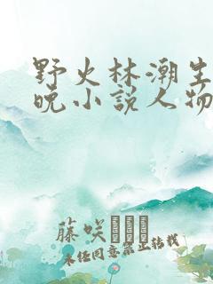 野火林潮生林晚晚小说人物野火