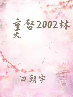 重启2002林天