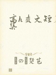 高h爽文短篇合集