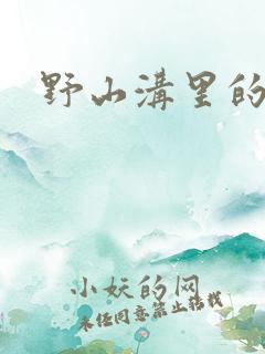 野山沟里的村庄