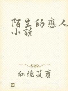 陌生的恋人原著小说