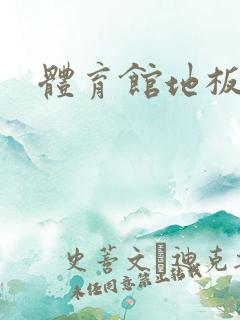 体育馆地板上c
