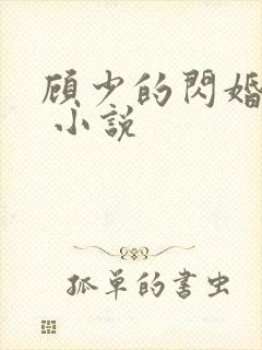 顾少的闪婚宠妻 小说