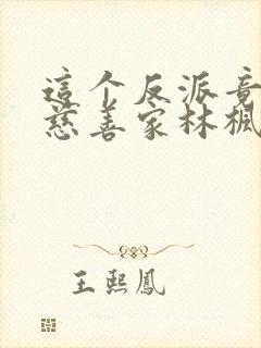 这个反派竟然是慈善家林枫
